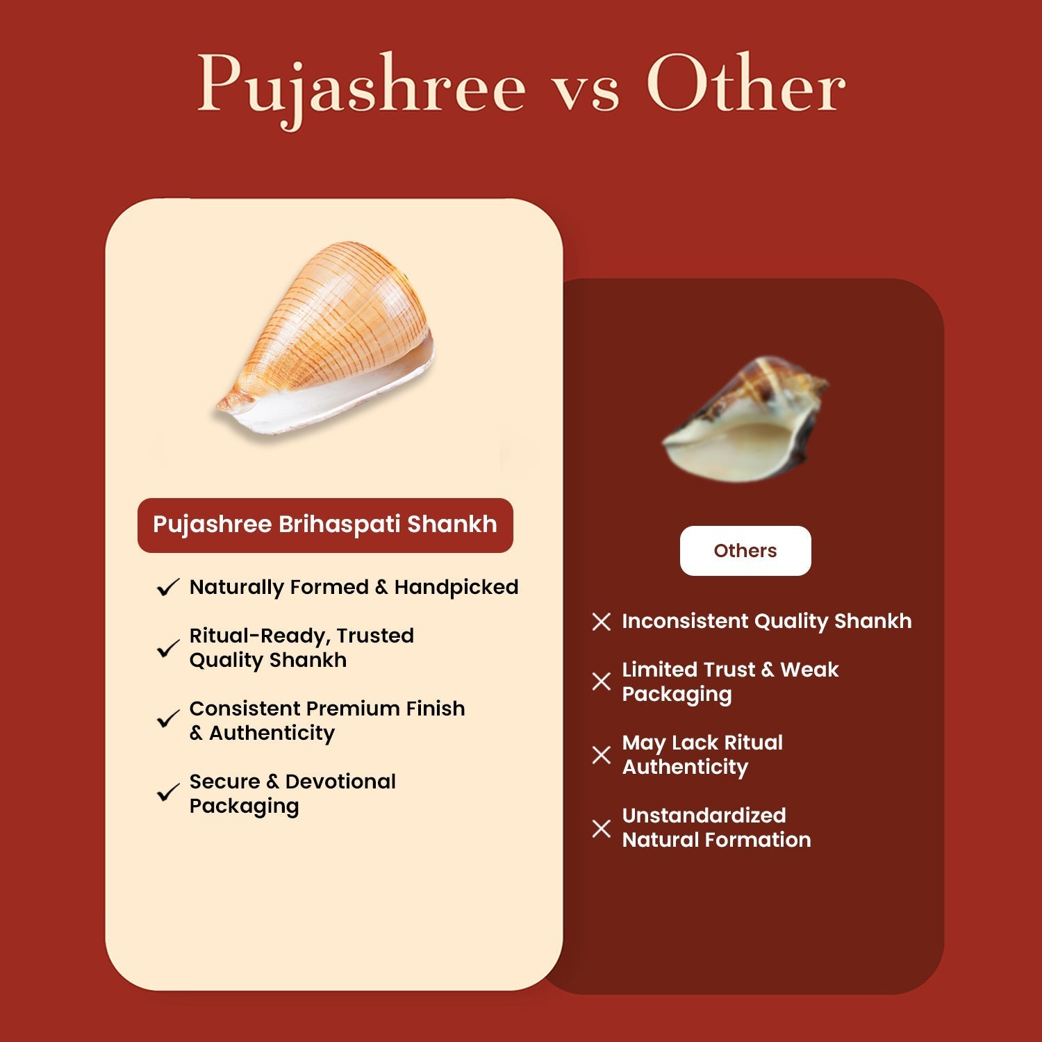 Brihaspati Shankh 1 Pc | Navagraha Shankh | Heals Doshas by Pujashree | Sanatana Journey