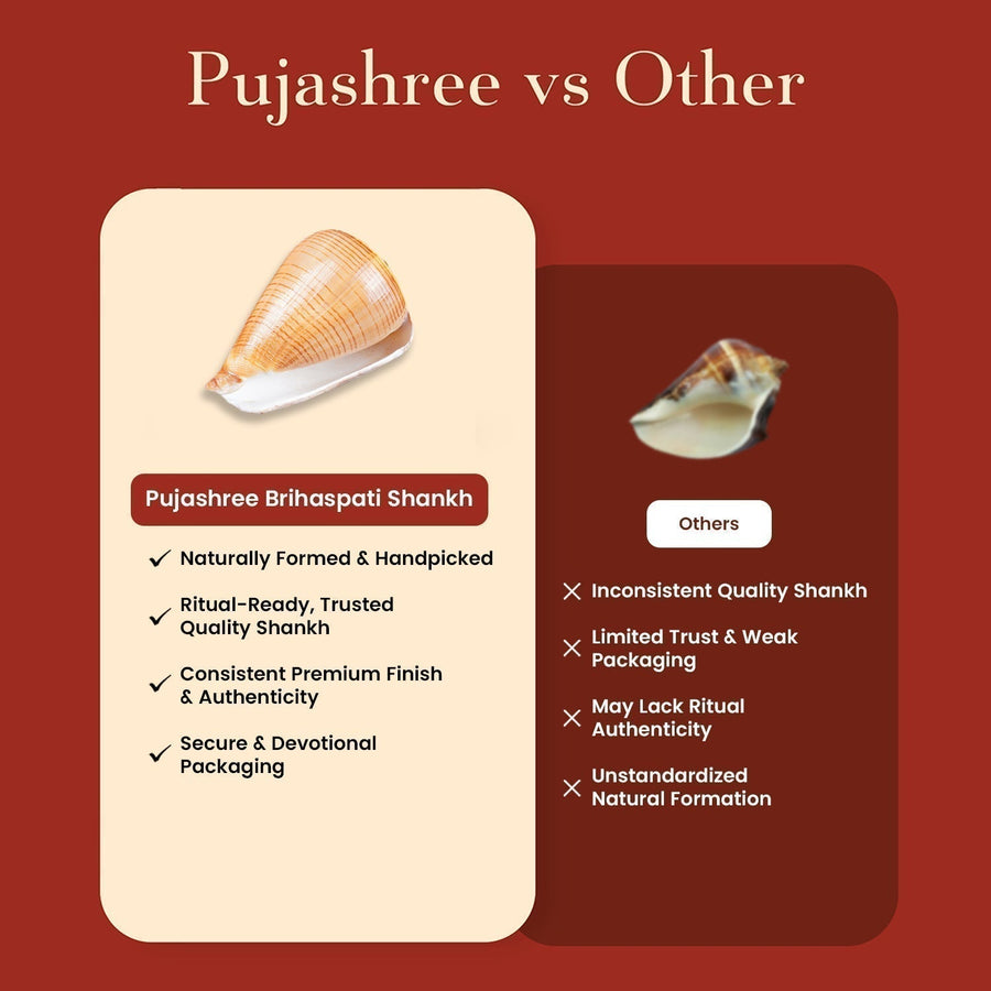 Brihaspati Shankh 1 Pc | Navagraha Shankh | Heals Doshas by Pujashree | Sanatana Journey