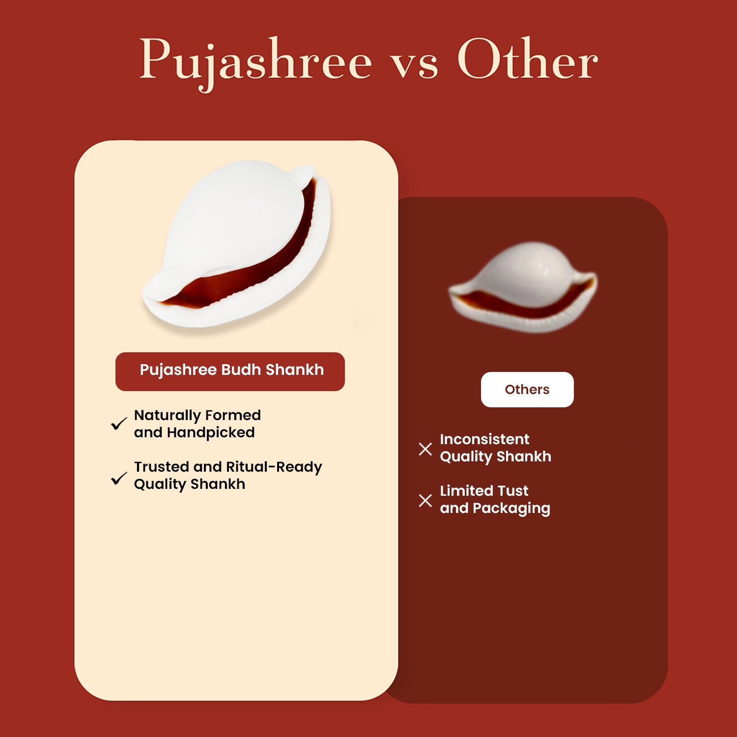 Budh Shankh 1 Pc | Navagraha Shankh by Pujashree | Sanatana Journey