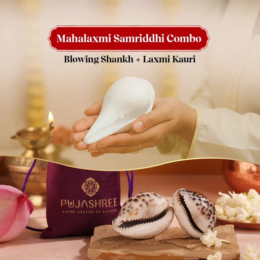 Mahalaxmi Samriddhi Combo – Blowing Shankh & Laxmi Kauri for Wealth & Positivity by Pujashree | Sanatana Journey