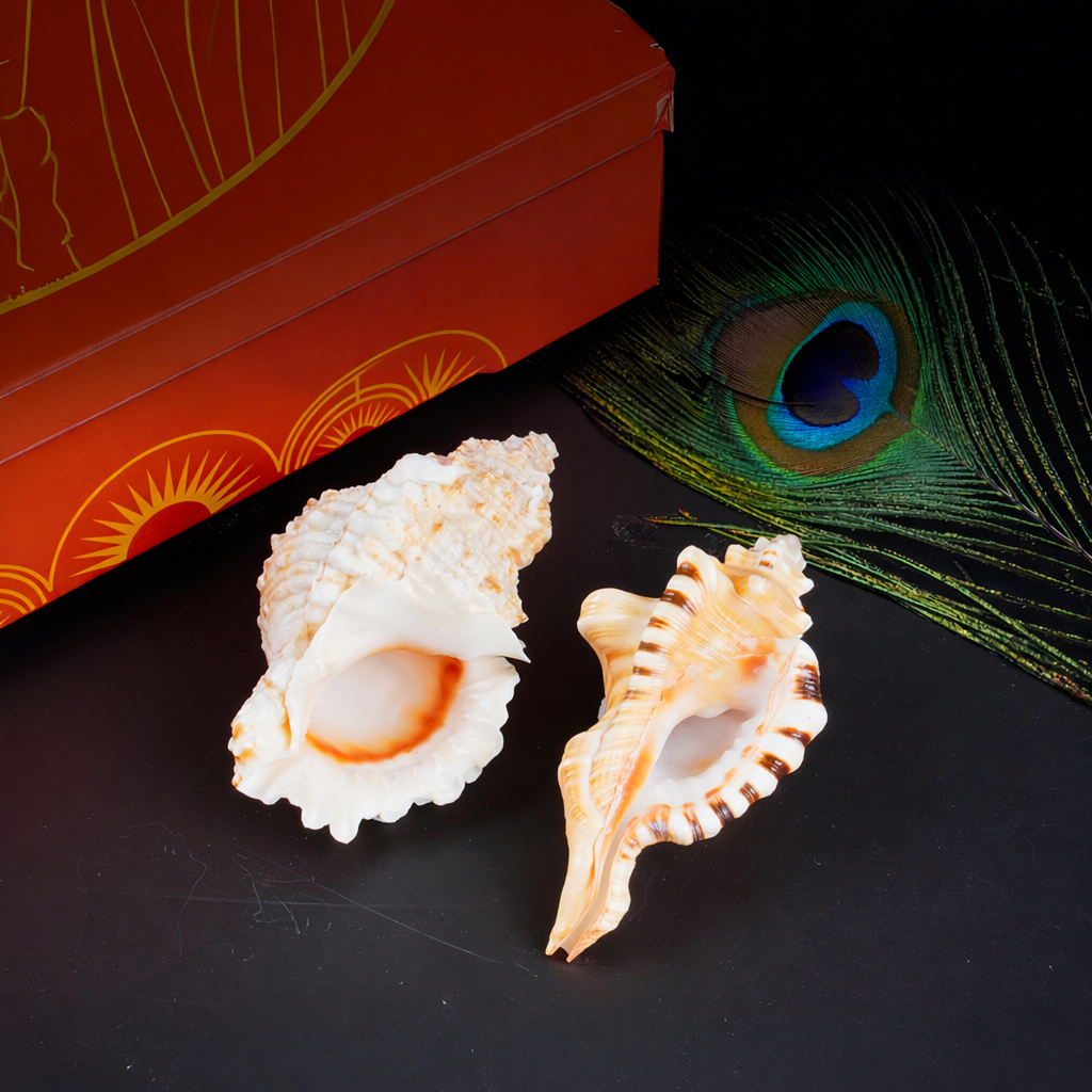 Sacred Shubh – Labh Shankh Pair – Bring Home Prosperity & Protection by Pujashree | Sanatana Journey