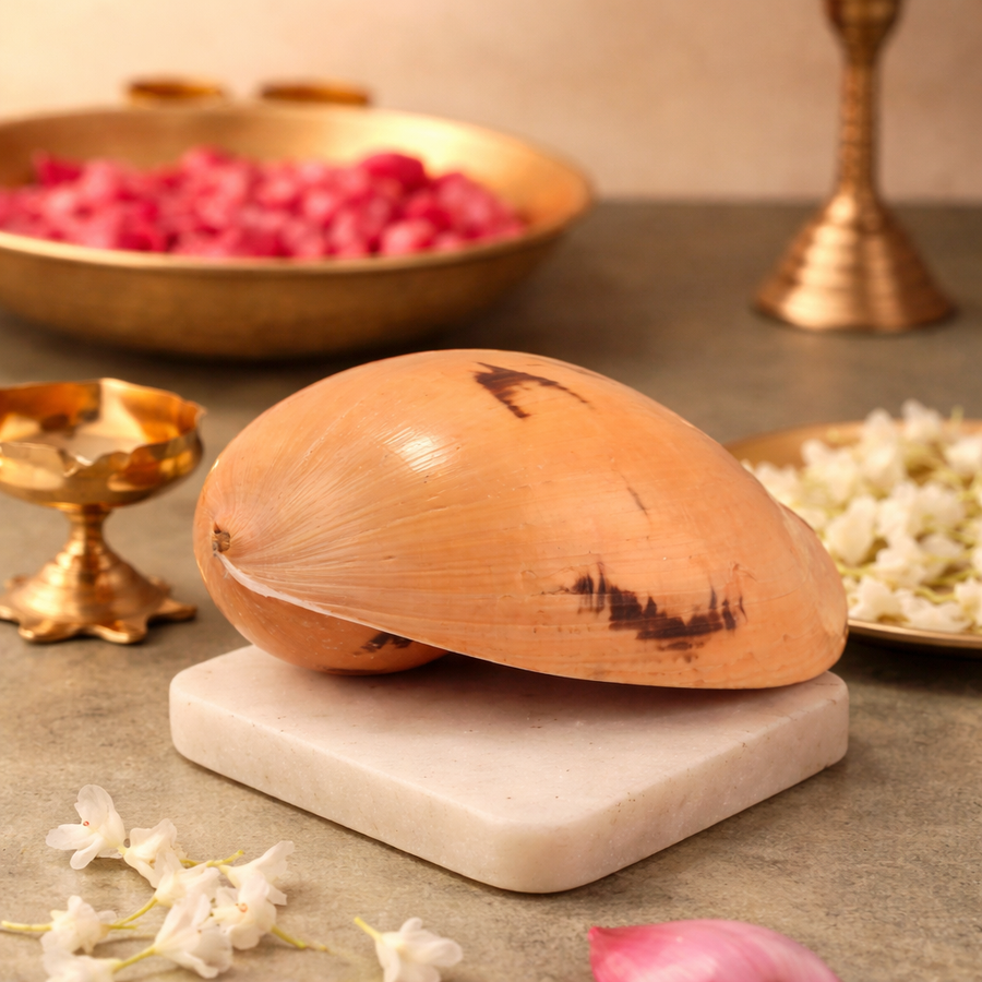 Kuber Shankh by Pujashree | Sanatana Journey