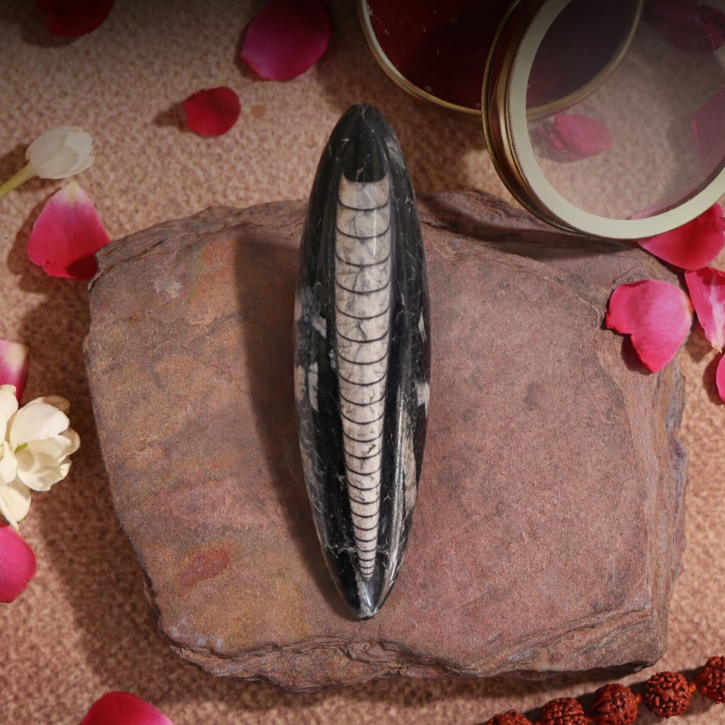 Kuber Stone 1 Pc | Symbol Of Bhagwan Kuber | Growth & Success | Brings Financial Stability
