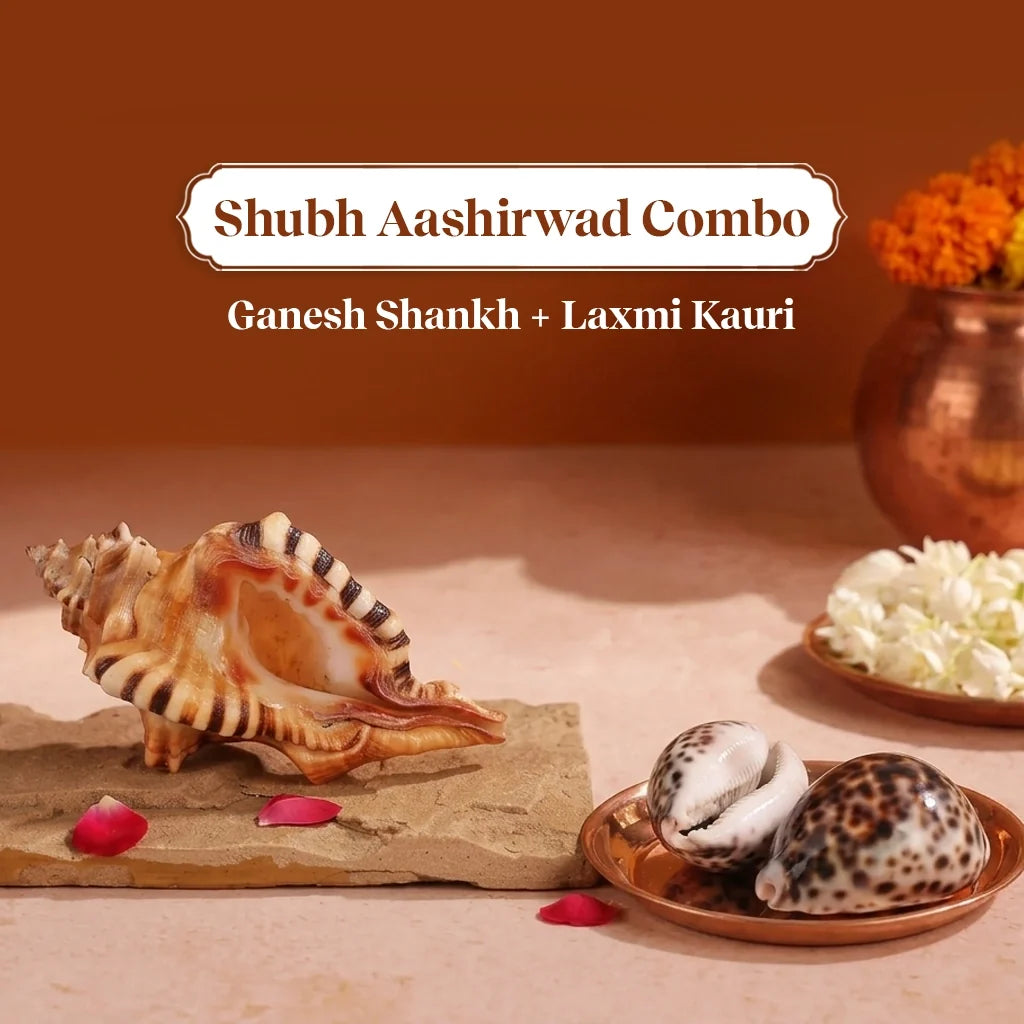 Shubh Aashirwad Combo – Ganesh Shankh & Laxmi Kauri for Success & Wealth by Pujashree | Sanatana Journey