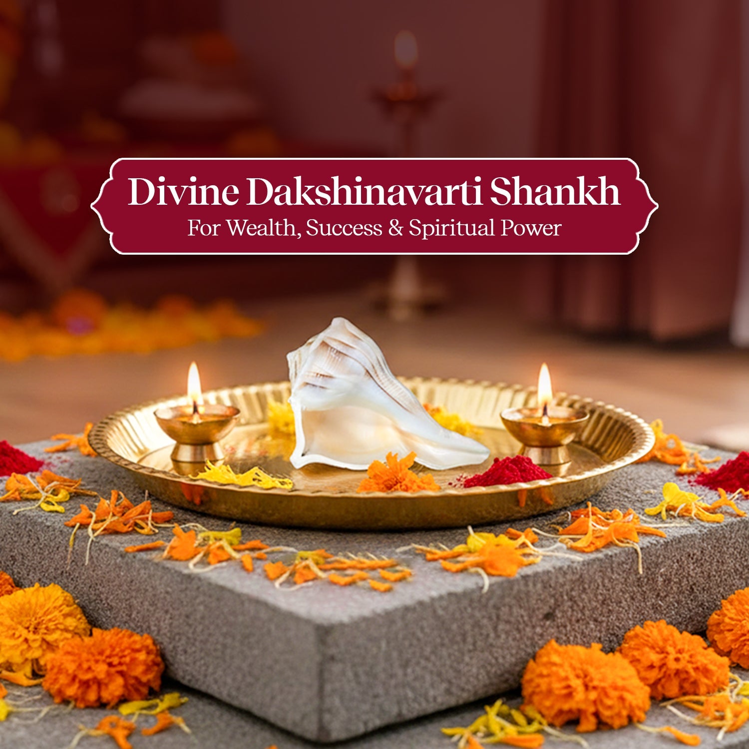 Dakshinavarti Shankh by Pujashree | Sanatana Journey