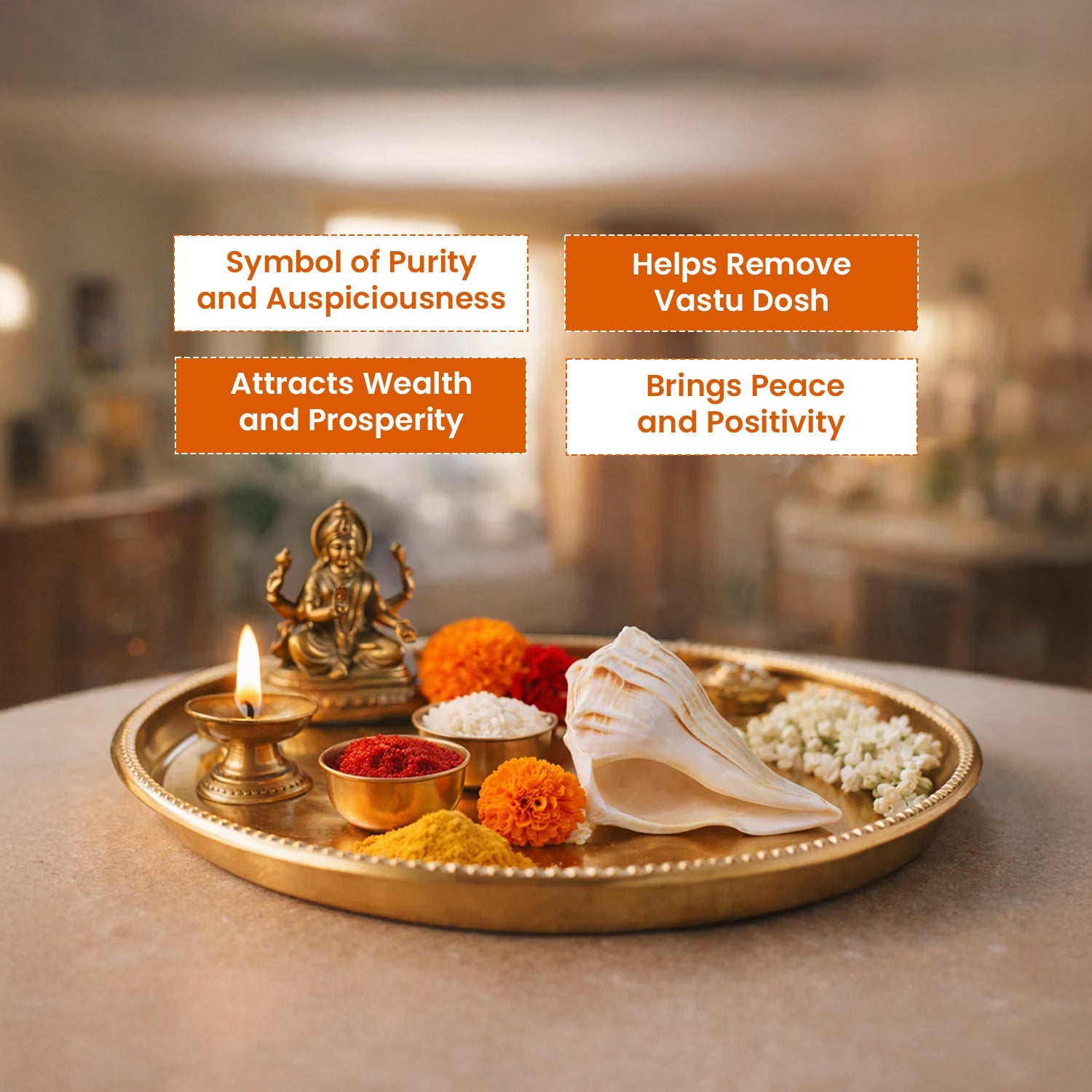 Dakshinavarti Shankh by Pujashree | Sanatana Journey