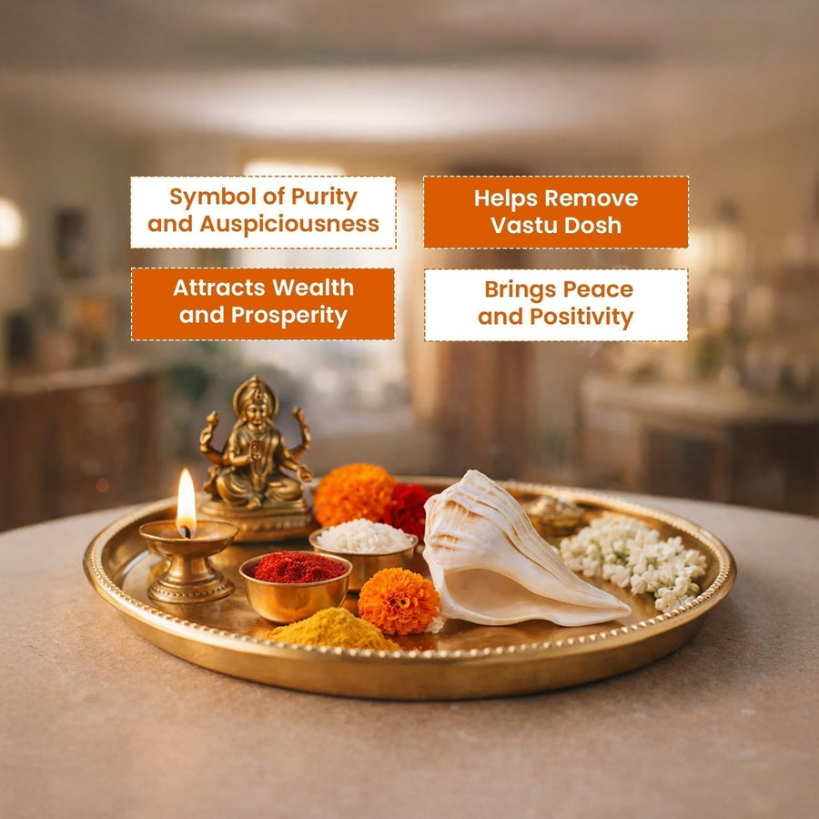 Dakshinavarti Shankh by Pujashree | Sanatana Journey