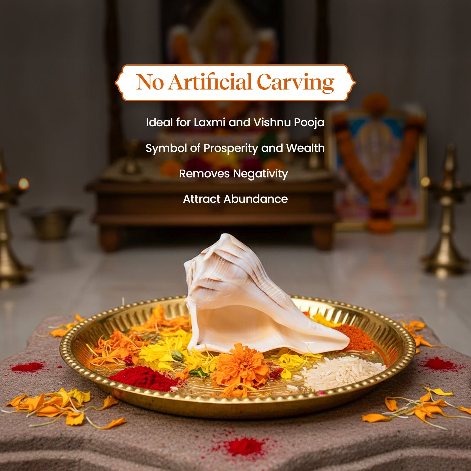 Dakshinavarti Shankh by Pujashree | Sanatana Journey
