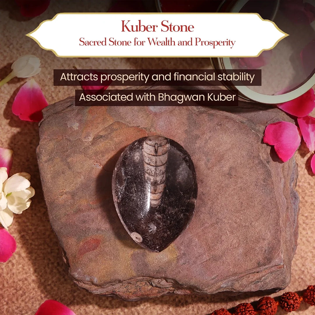 Kuber Dhanyog Combo – Kuber Stone & Gomti Chakr for Wealth & Prosperity by Pujashree | Sanatana Journey