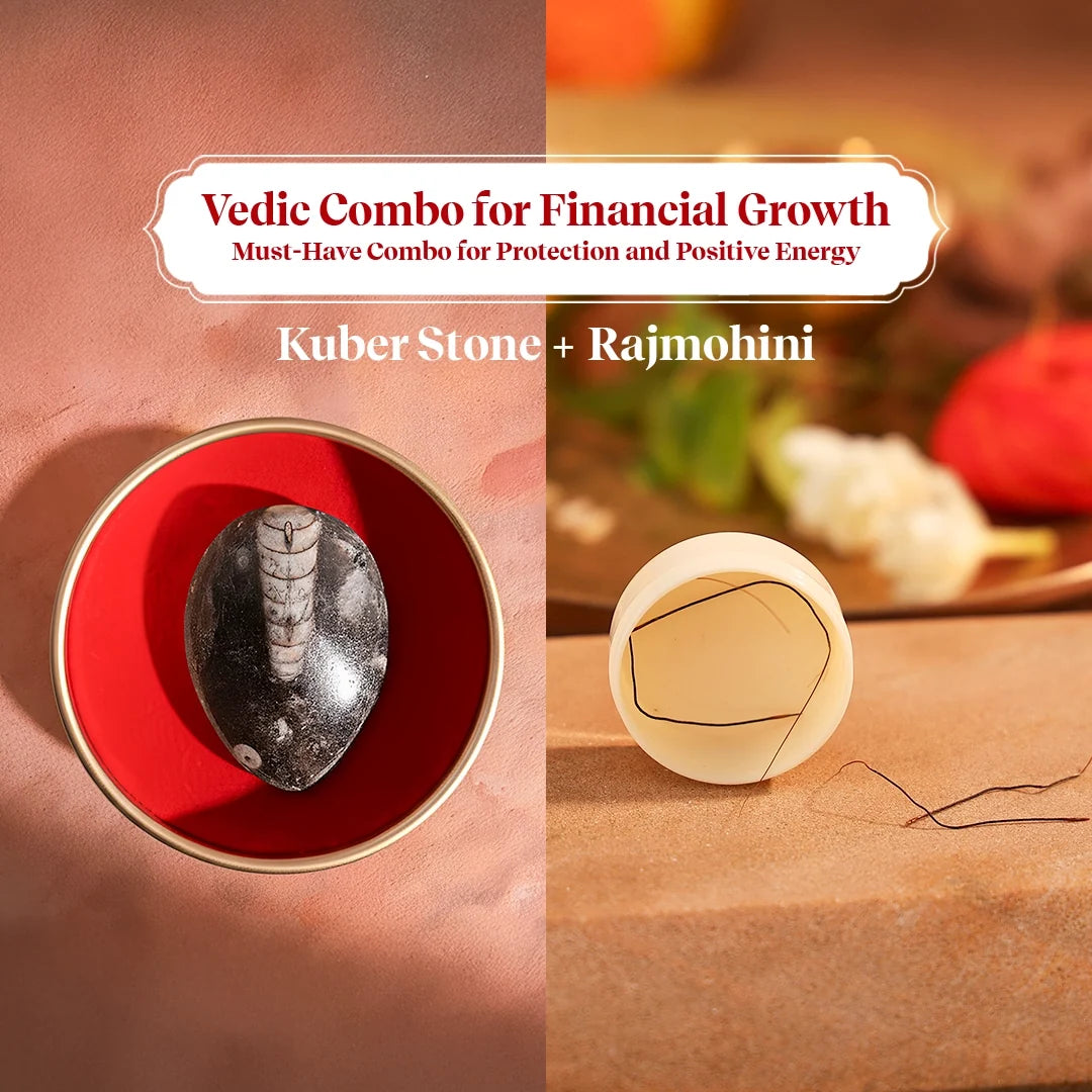 Dhan Vaibhav Combo – Rajmohini Jadi & Kuber Stone for Wealth & Attraction by Pujashree | Sanatana Journey
