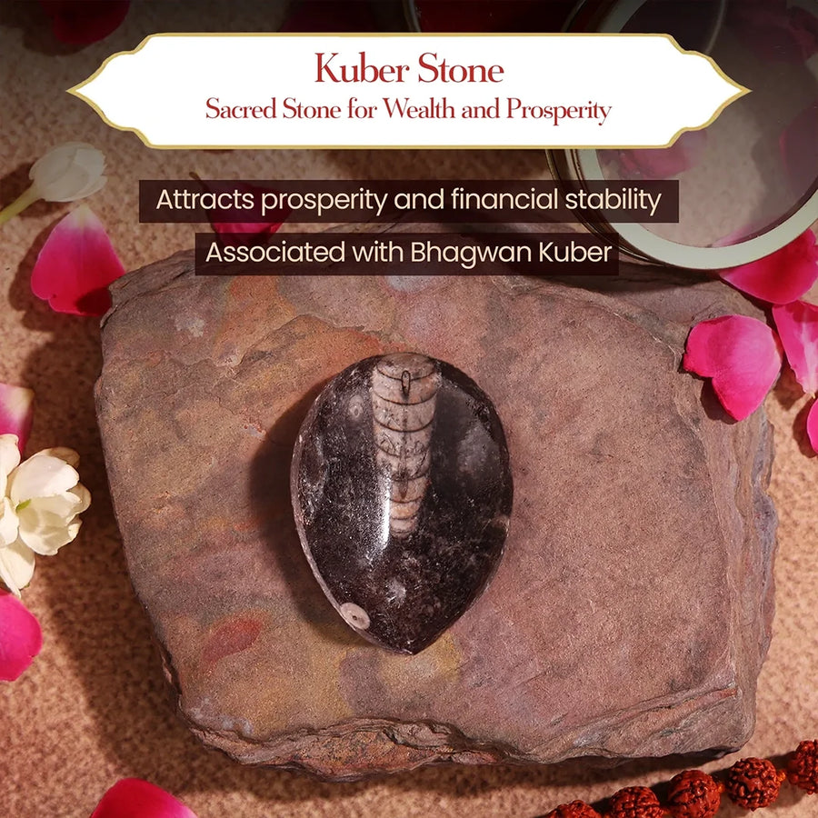 Dhan Vaibhav Combo – Rajmohini Jadi & Kuber Stone for Wealth & Attraction by Pujashree | Sanatana Journey