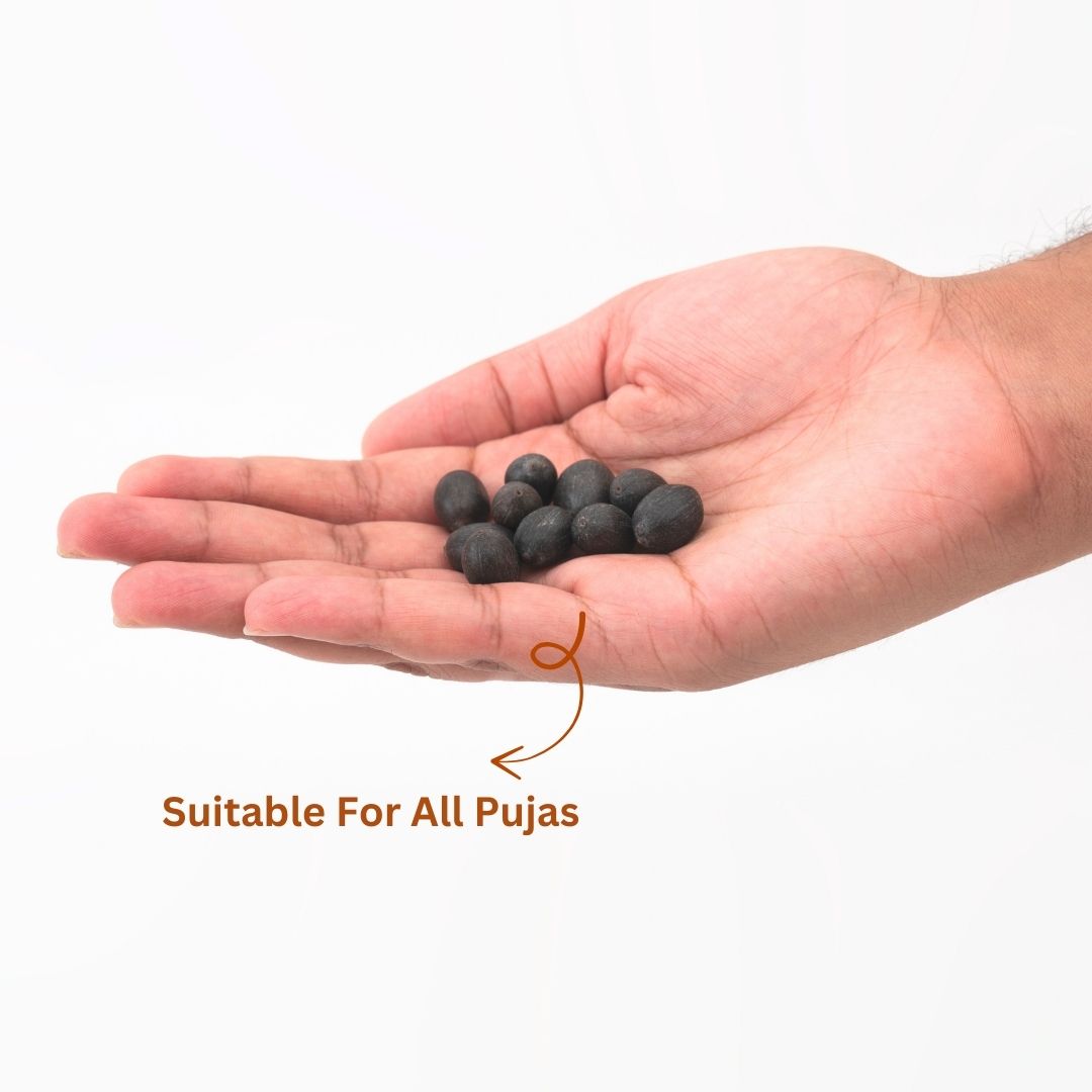 Kamal Gatta Lotus Seeds