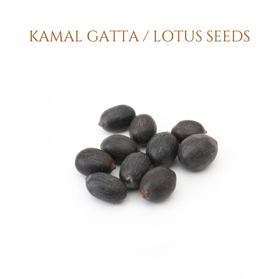 Kamal Gatta