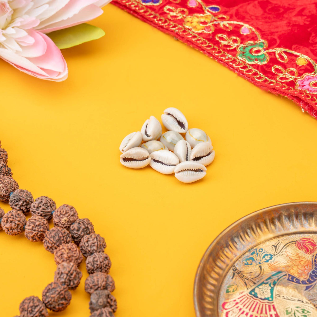 Pack of 11 sacred Kaudi shells included in the bundle