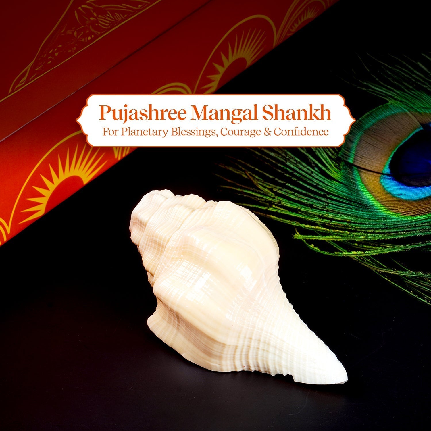 Mangal Shankh 1 Pc | Navagraha  Shankh | Helps Invoke Planetary Blessings | Attracts Courage & Confidence