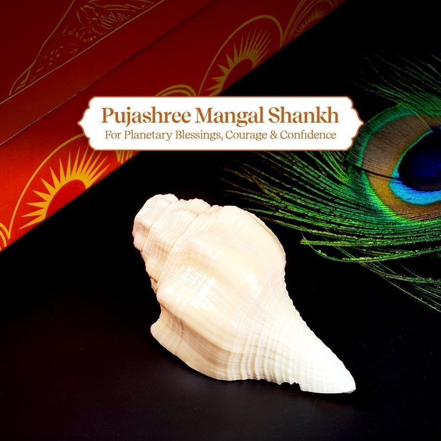 Mangal Shankh 1 Pc | Navagraha Shankh by Pujashree | Sanatana Journey