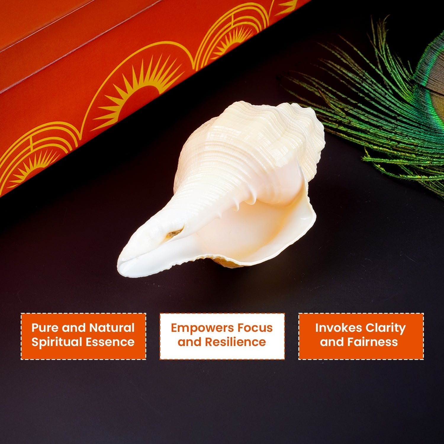 Mangal Shankh 1 Pc | Navagraha  Shankh | Helps Invoke Planetary Blessings | Attracts Courage & Confidence
