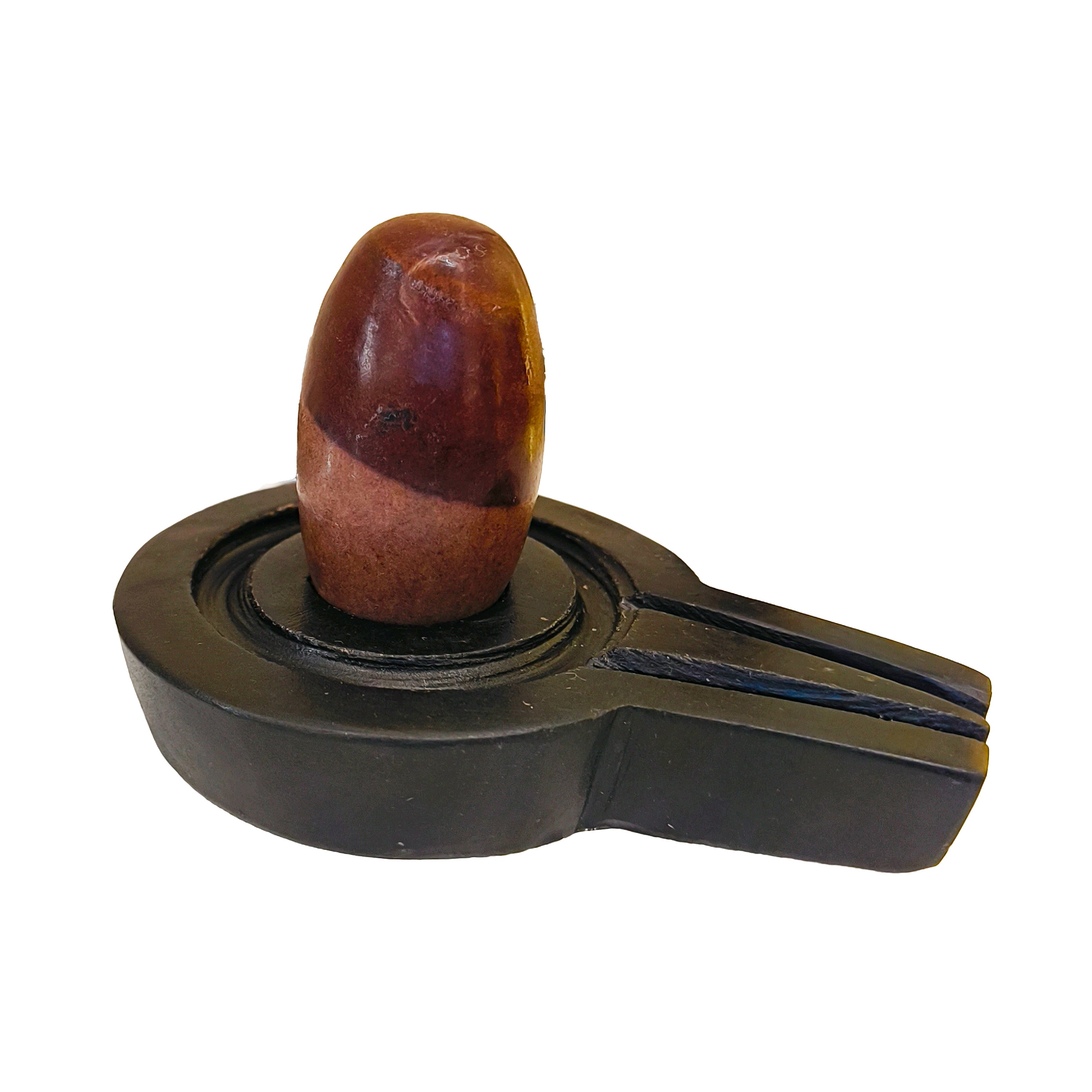 Shivnandi Narmadeshwar Shivling by Pujashree | Sanatana Journey