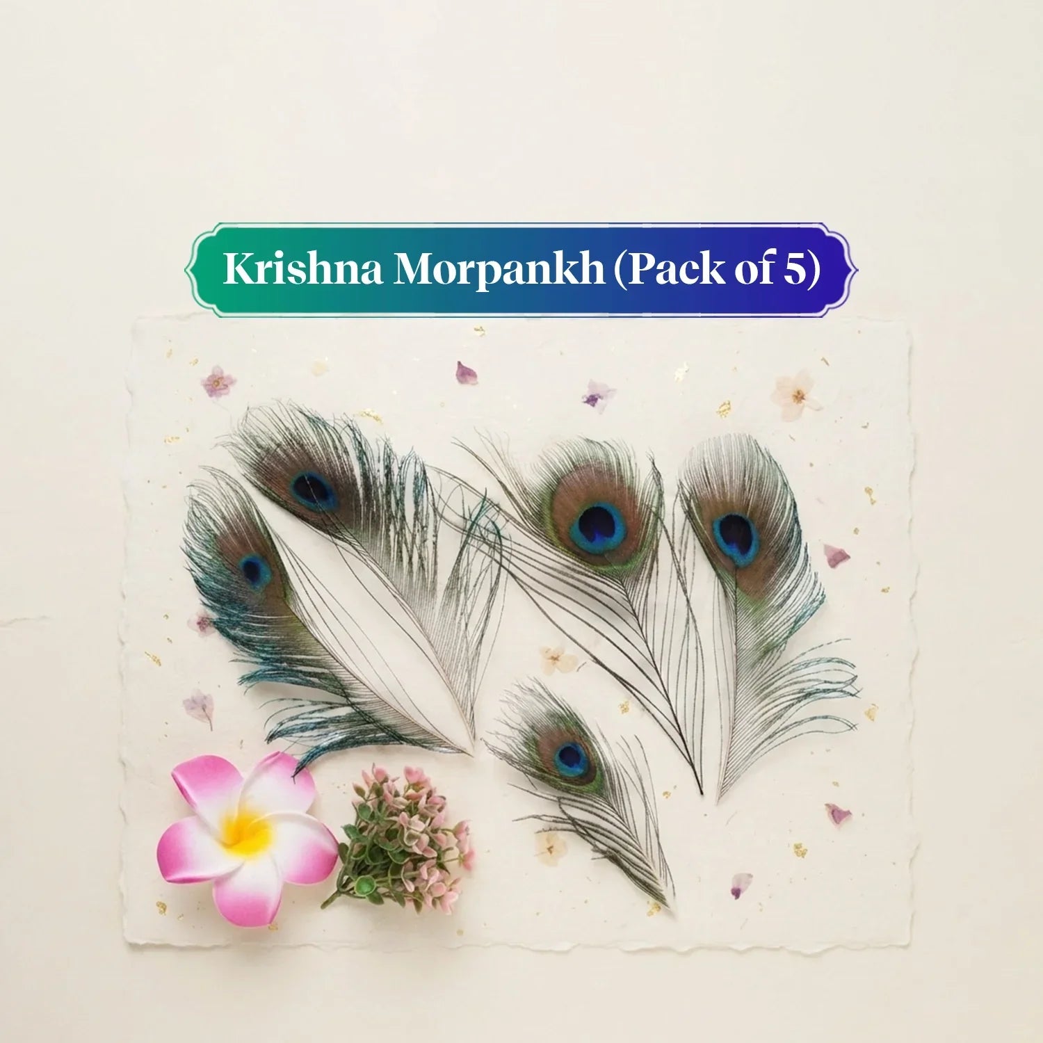 Krishna Morpankh (Pack of 5)