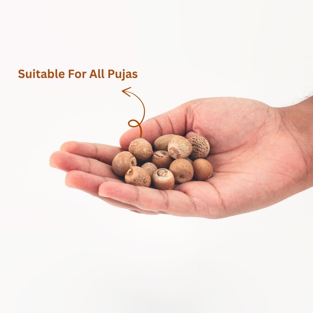 Puja Supari Betel Nut