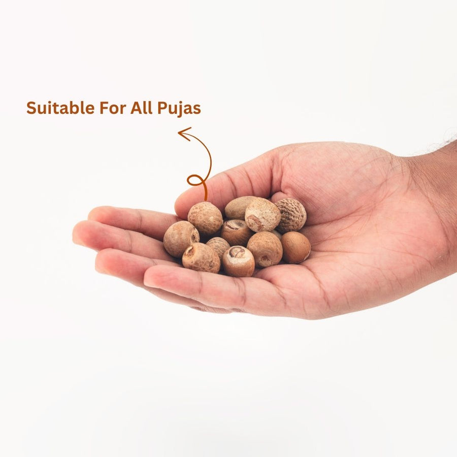 Puja Supari Betel Nut