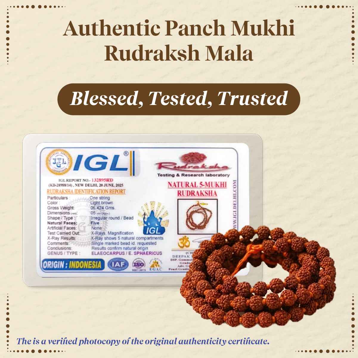 Panchmukhi Rudraksha Mala (4MM)– For Deep Meditation & Spiritual Power