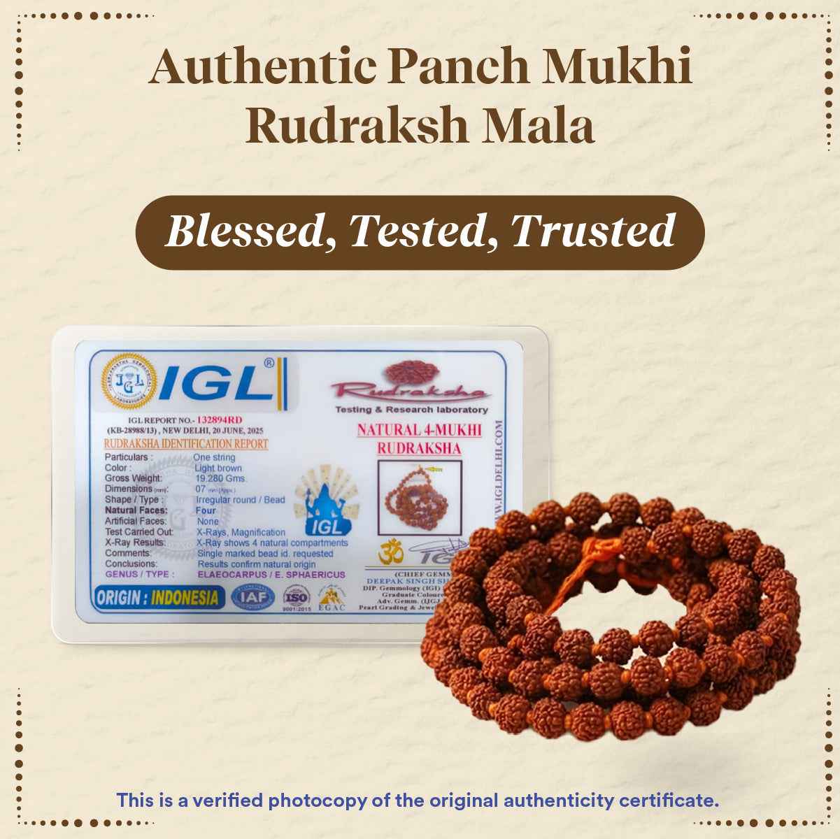 Panchmukhi Rudraksha Mala Small (8 MM)- For Deep Meditation & Spiritual Power