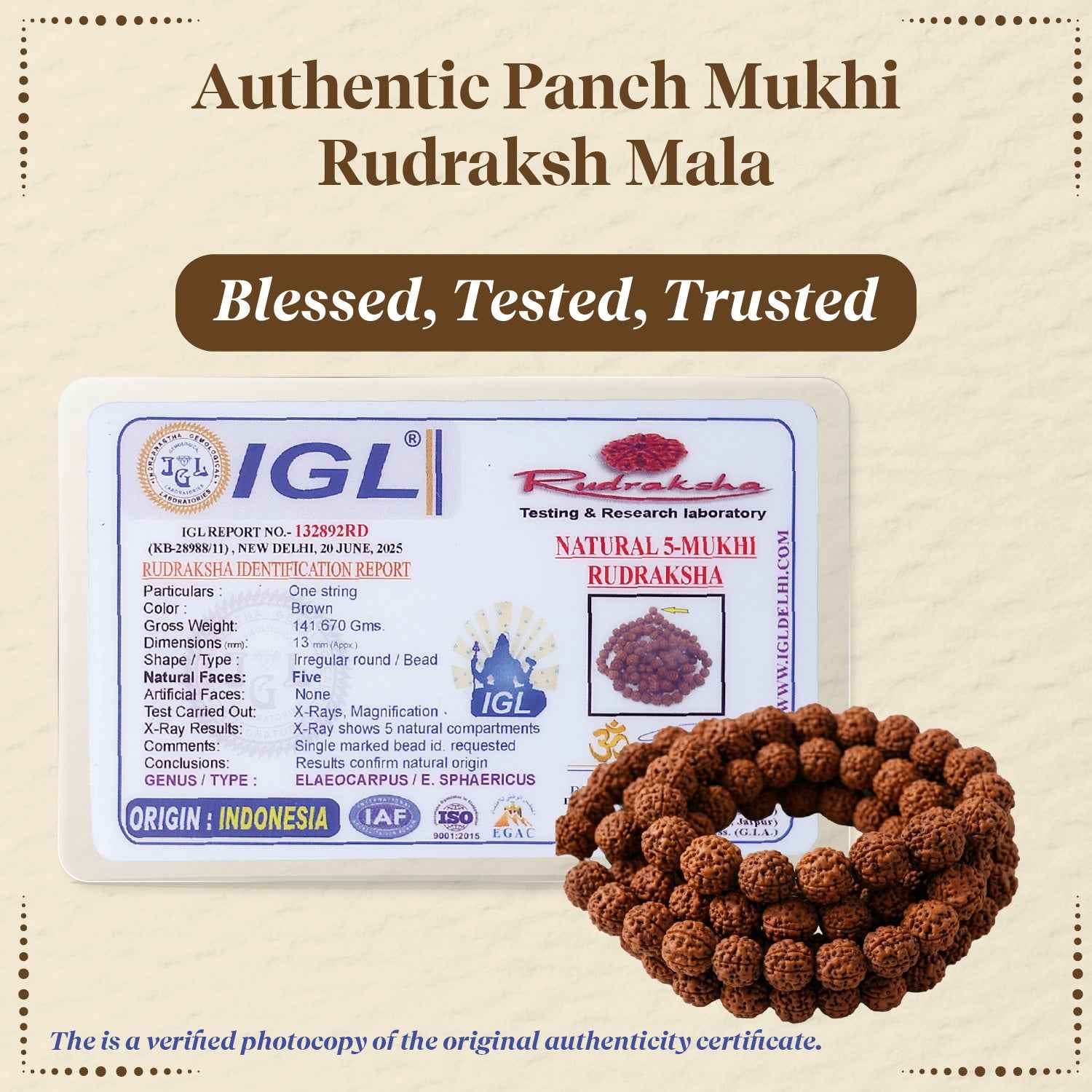 Panchmukhi Rudraksha Mala Medium (13 MM)– For Deep Meditation & Spiritual Power