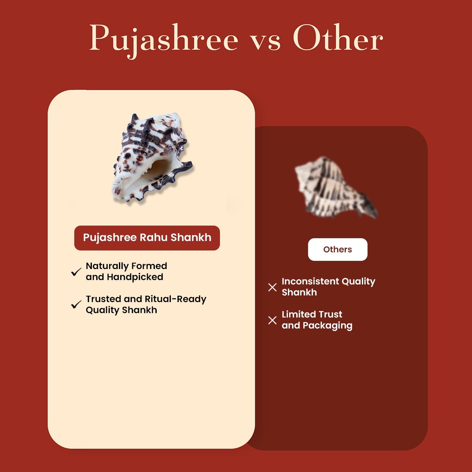 Rahu Shankh 1 Pc | Navagraha Shankh by Pujashree | Sanatana Journey