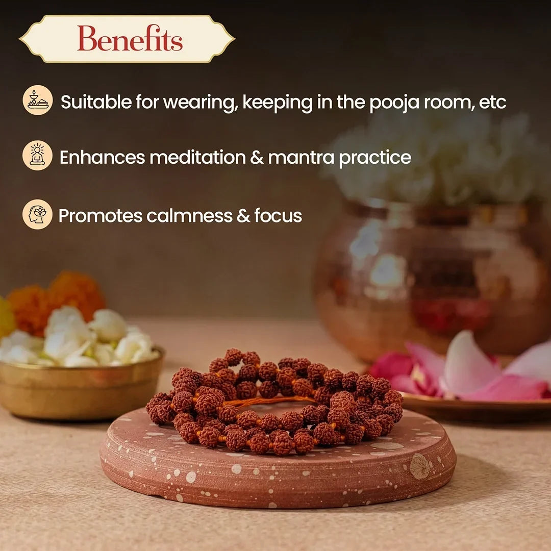 Divya Mala Combo - Panchmukhi Rudraksh & Kamalgatta Mala for Meditation & Peace