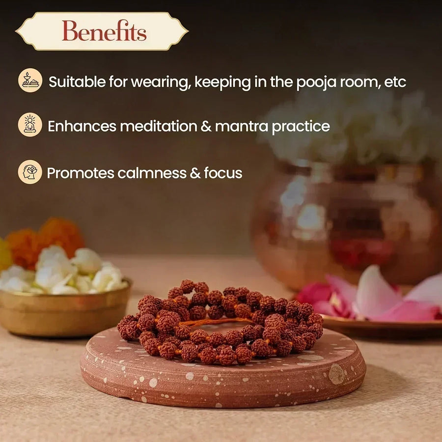 Divya Mala Combo – Panchmukhi Rudraksh & Kamalgatta Mala for Meditation & Peace by Pujashree | Sanatana Journey