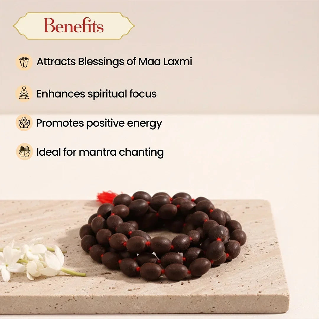 Divya Mala Combo - Panchmukhi Rudraksh & Kamalgatta Mala for Meditation & Peace