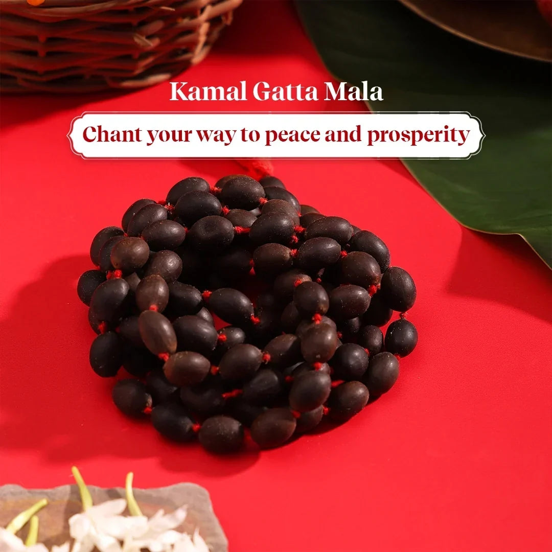 Divya Mala Combo - Panchmukhi Rudraksh & Kamalgatta Mala for Meditation & Peace