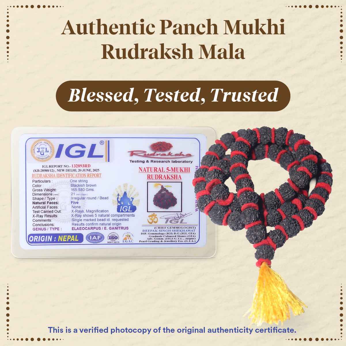 Panchmukhi Rudraksha Mala Large (21MM)  – For Deep Meditation & Spiritual Power