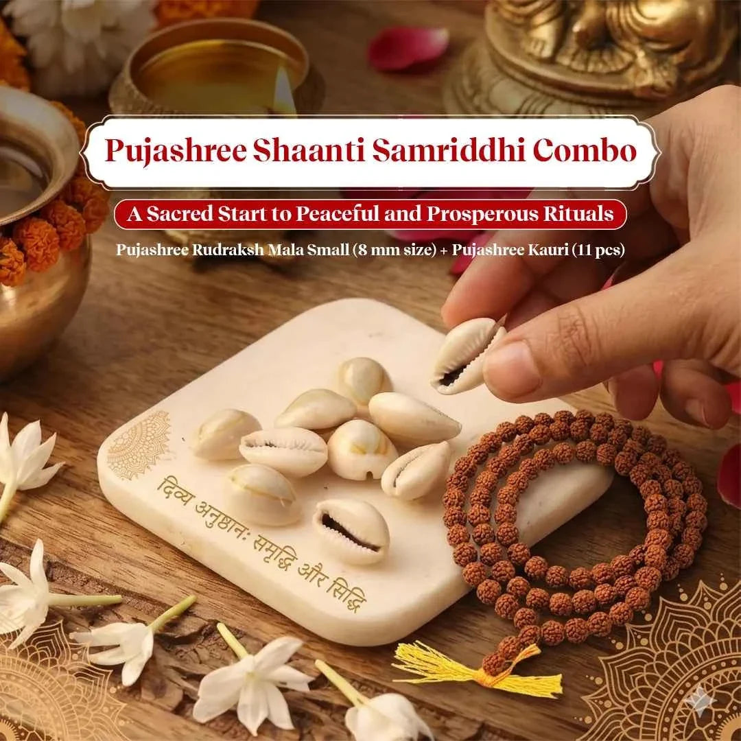 Samriddhi Suraksha Combo – Panchmukhi Rudraksh Mala (8mm)for Wealth & Protection by Pujashree | Sanatana Journey
