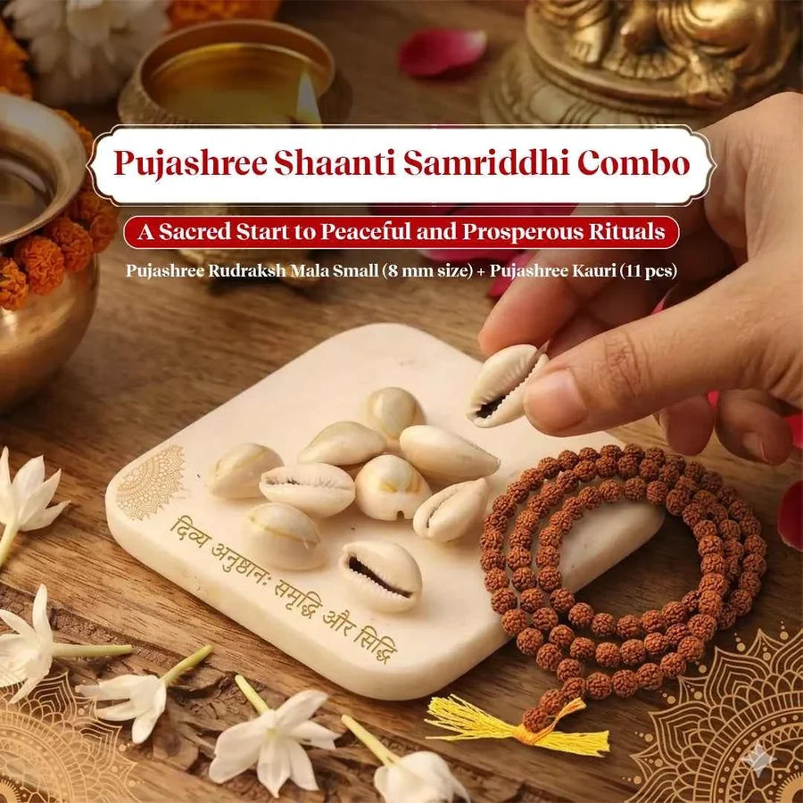 Samriddhi Suraksha Combo – Panchmukhi Rudraksh Mala (8mm)for Wealth & Protection by Pujashree | Sanatana Journey