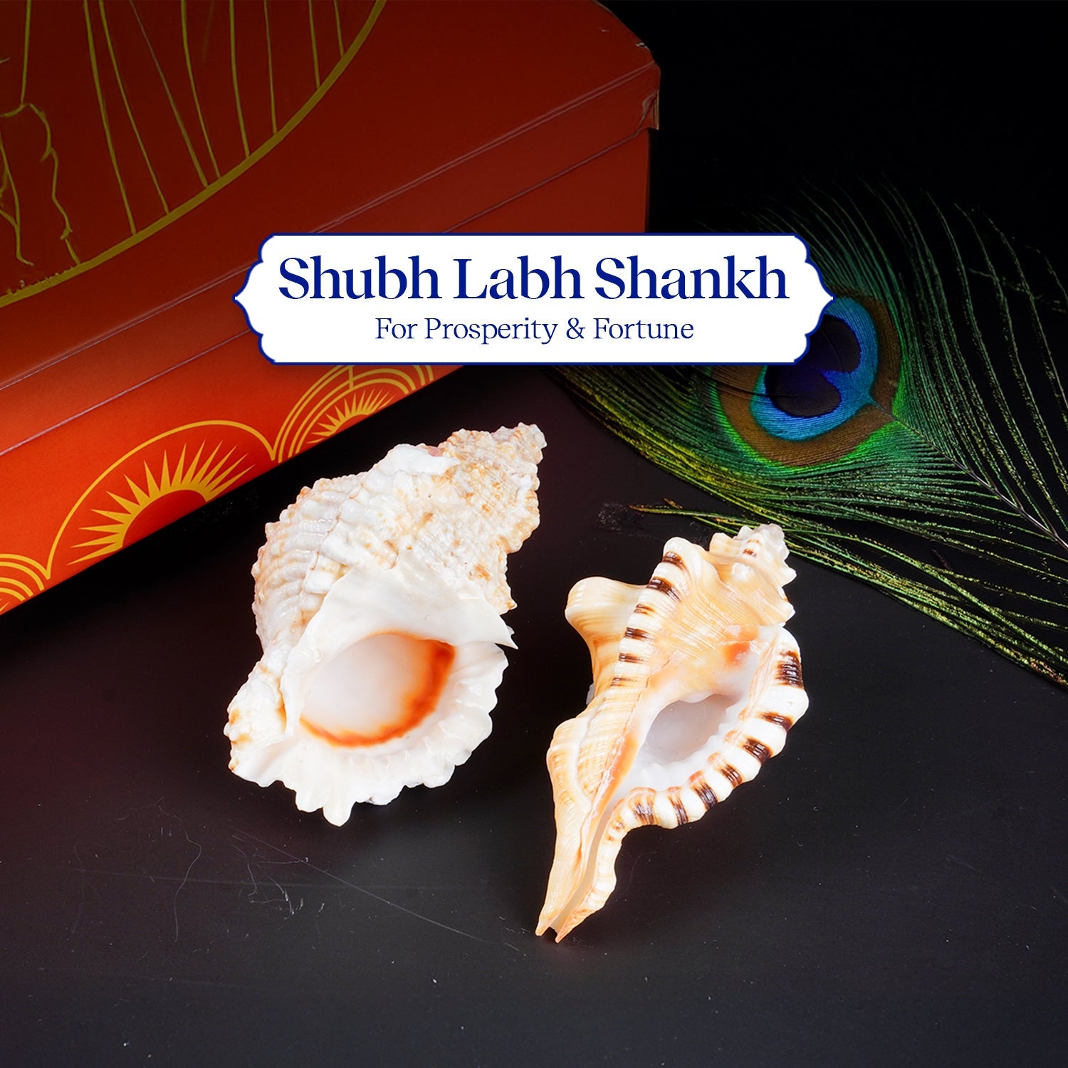 Sacred Shubh – Labh Shankh Pair – Bring Home Prosperity & Protection by Pujashree | Sanatana Journey