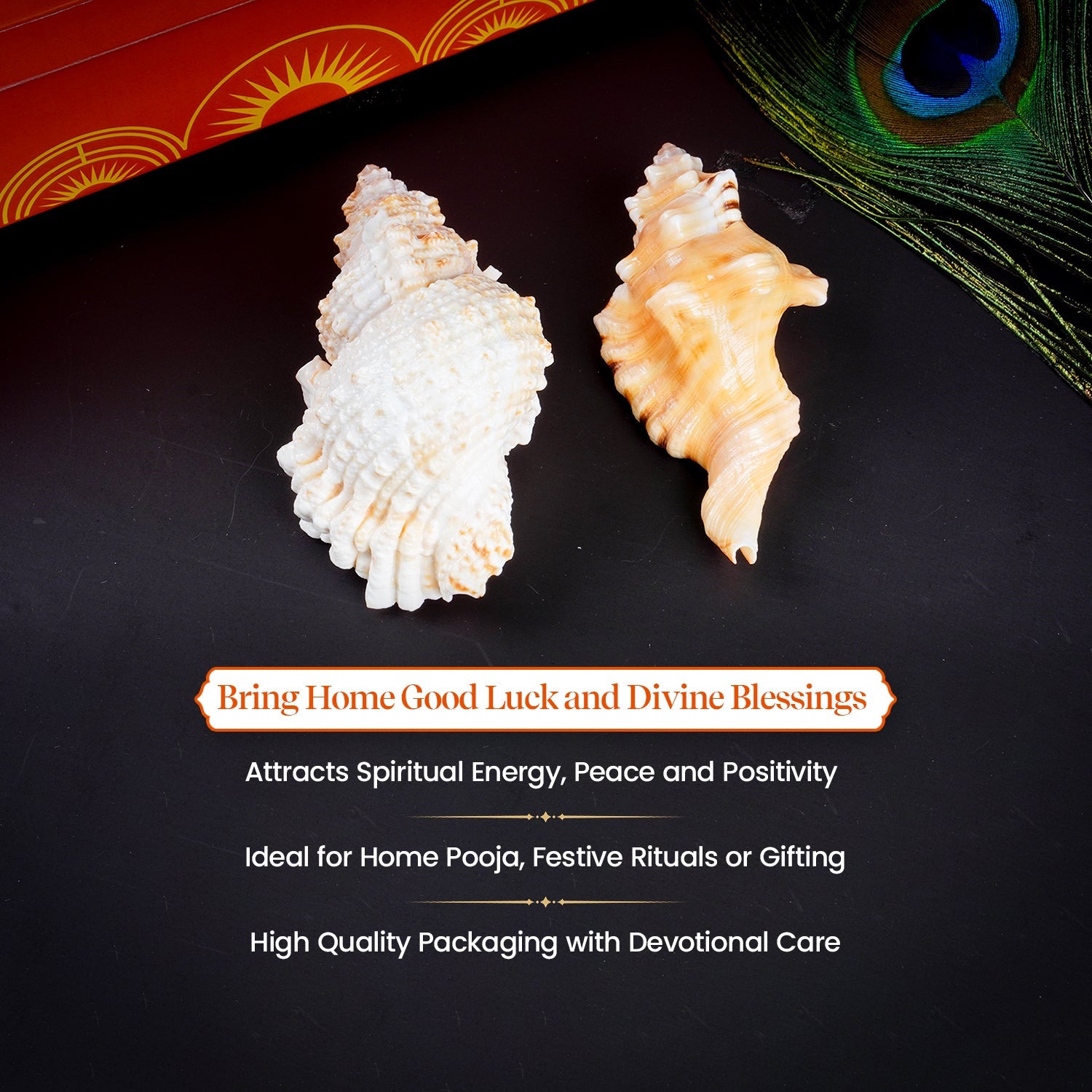 Sacred Shubh – Labh Shankh Pair – Bring Home Prosperity & Protection by Pujashree | Sanatana Journey
