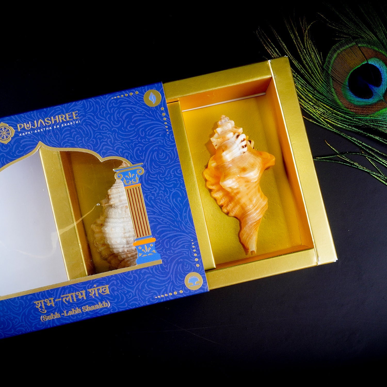 Sacred Shubh – Labh Shankh Pair – Bring Home Prosperity & Protection by Pujashree | Sanatana Journey
