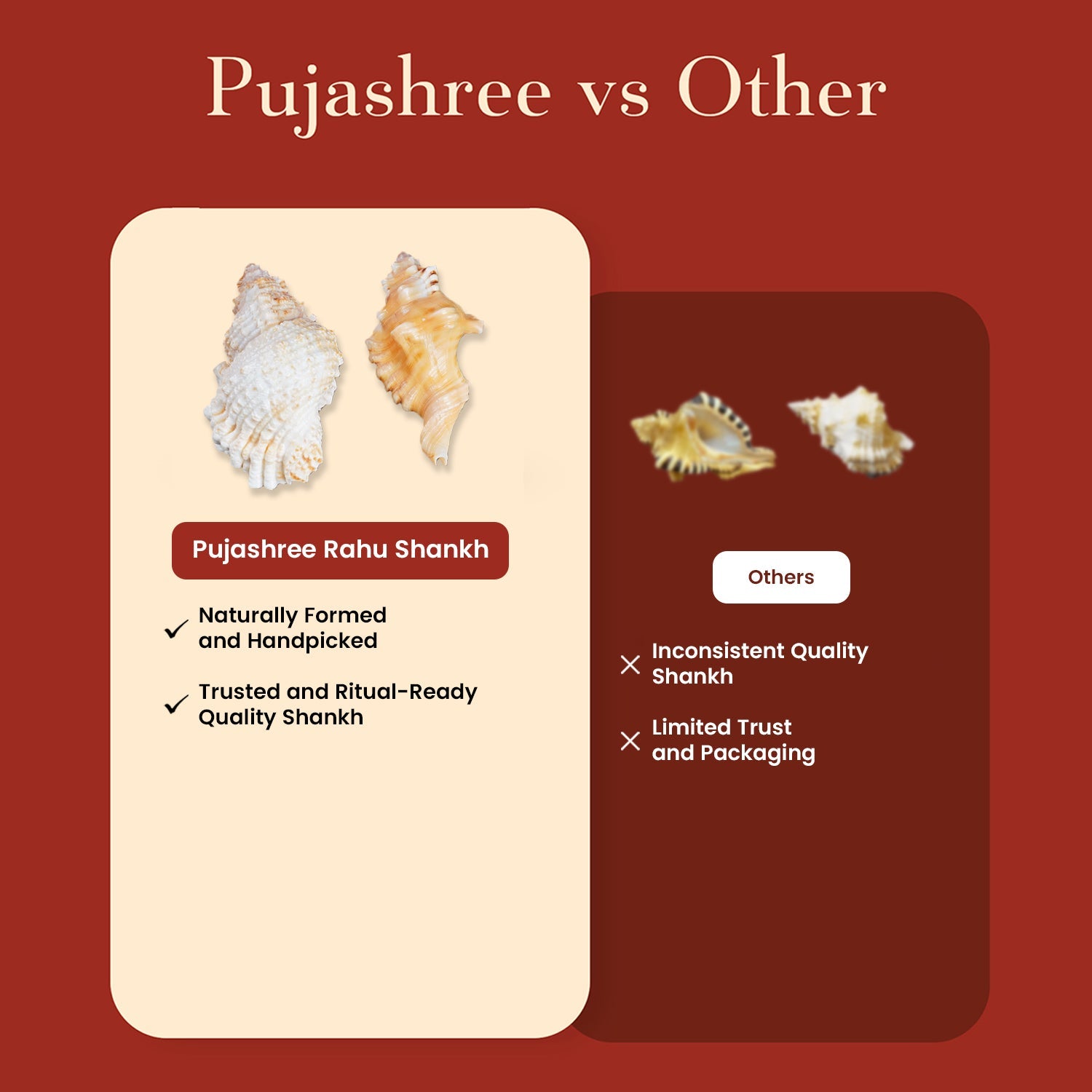 Sacred Shubh – Labh Shankh Pair – Bring Home Prosperity & Protection by Pujashree | Sanatana Journey
