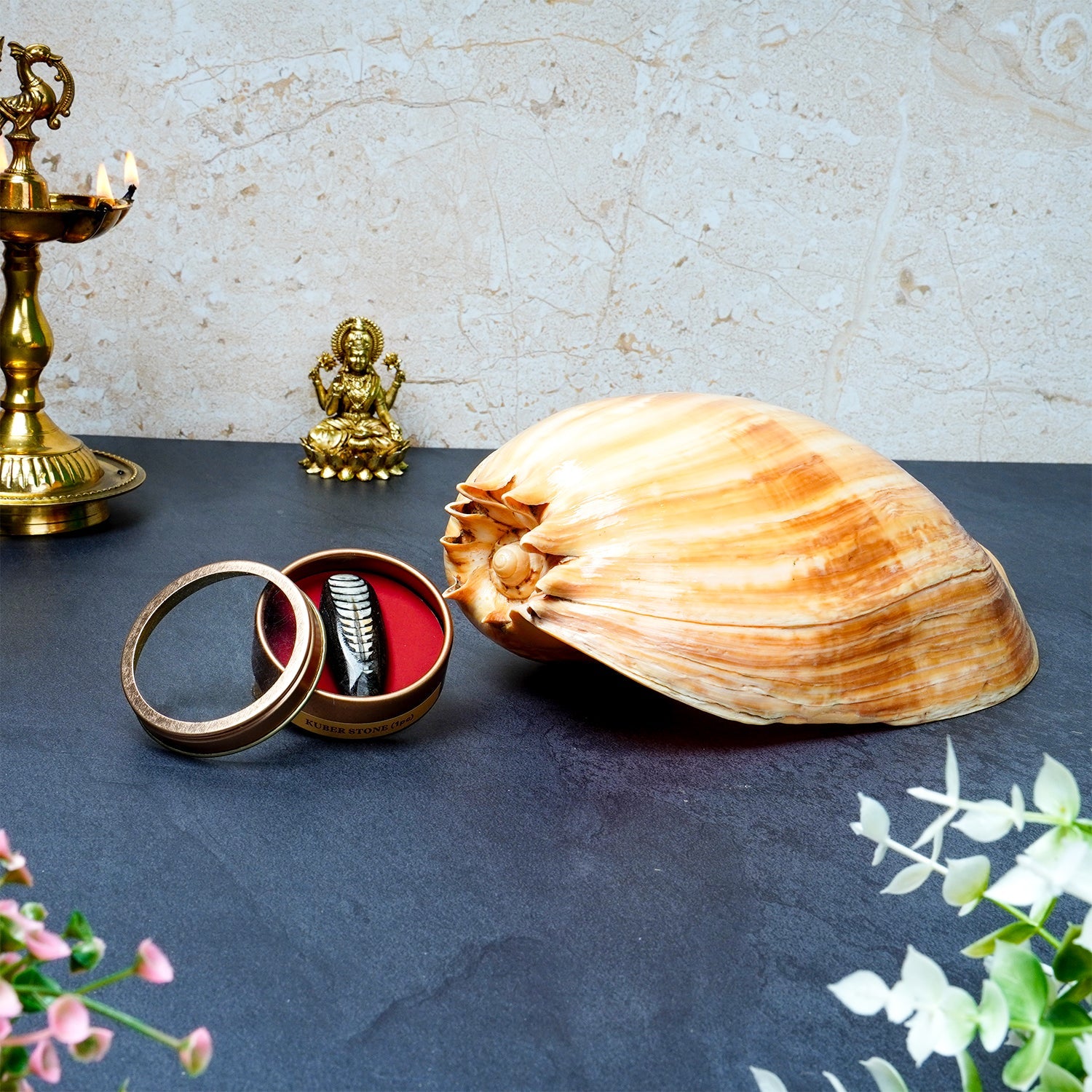 Kuber Blessings Combo – Kuber Shankh & Kuber Stone for Wealth & Luck by Pujashree | Sanatana Journey