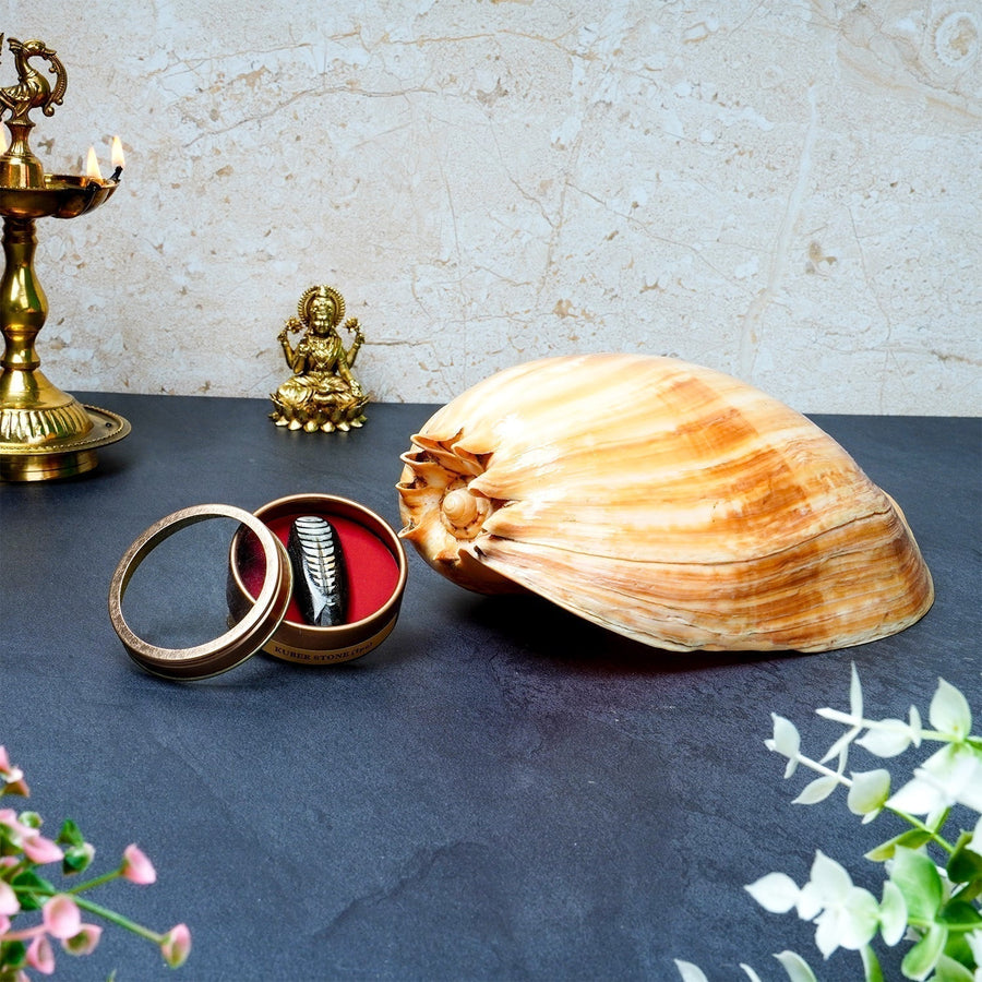 Kuber Blessings Combo – Kuber Shankh & Kuber Stone for Wealth & Luck by Pujashree | Sanatana Journey