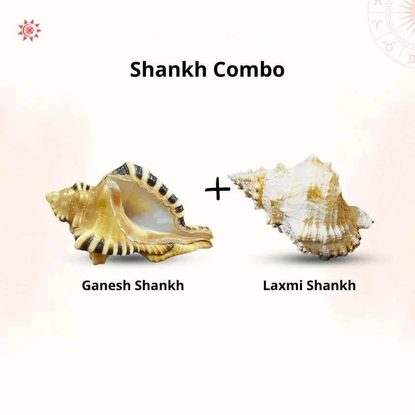 Shubh Labh Shankh – Auspicious Symbol of Wisdom & Prosperity by Pujashree | Sanatana Journey