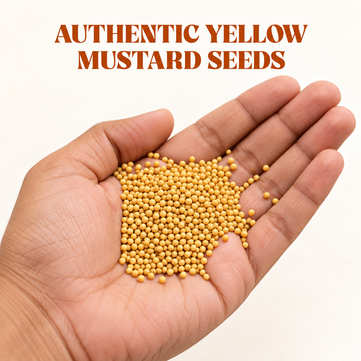 Peeli Sarso whole yellow mustard seeds shown naturally in hand