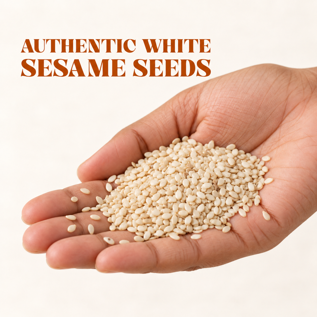 Authentic white sesame seeds shown in hand for size reference