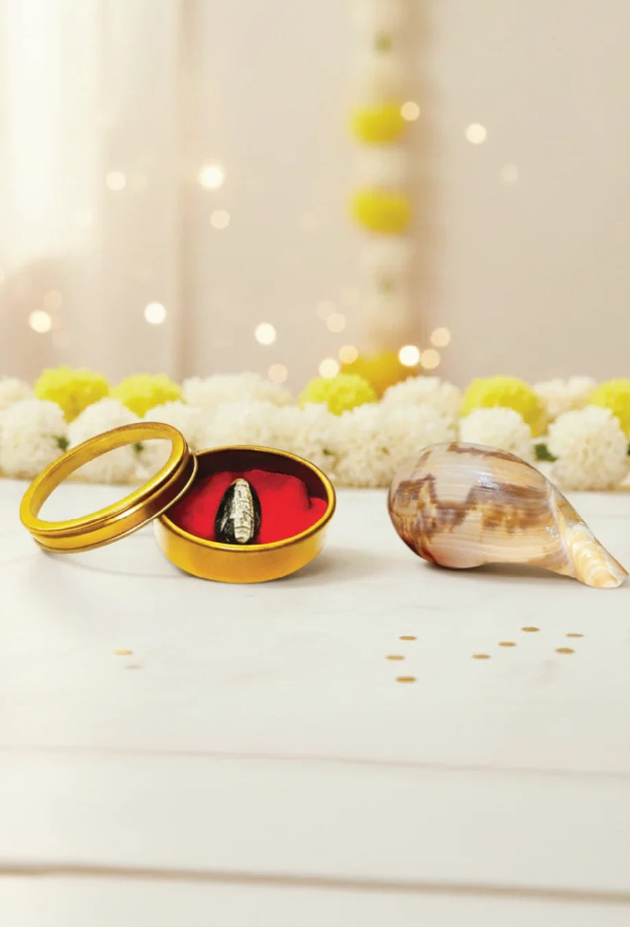 Kuber Blessings Combo – Kuber Shankh & Kuber Stone for Wealth & Luck by Pujashree | Sanatana Journey