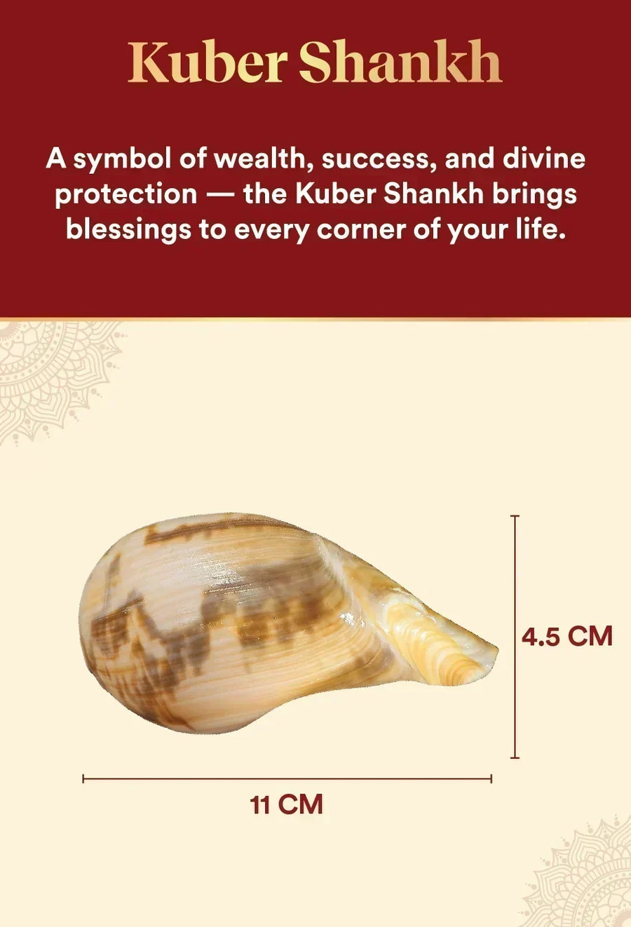 Kuber Blessings Combo – Kuber Shankh & Kuber Stone for Wealth & Luck by Pujashree | Sanatana Journey