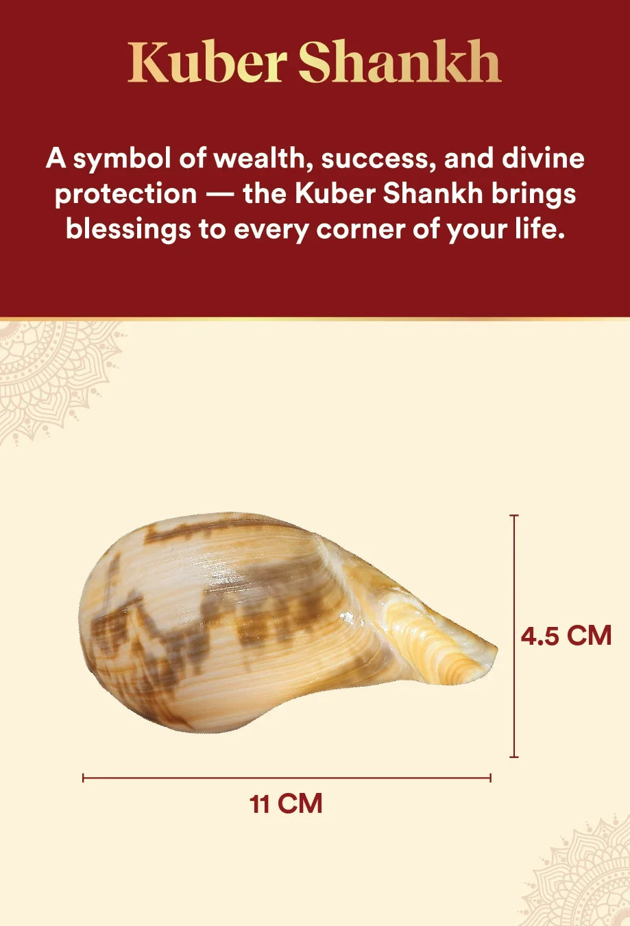 Kuber Blessings Combo – Kuber Shankh & Kuber Stone for Wealth & Luck by Pujashree | Sanatana Journey