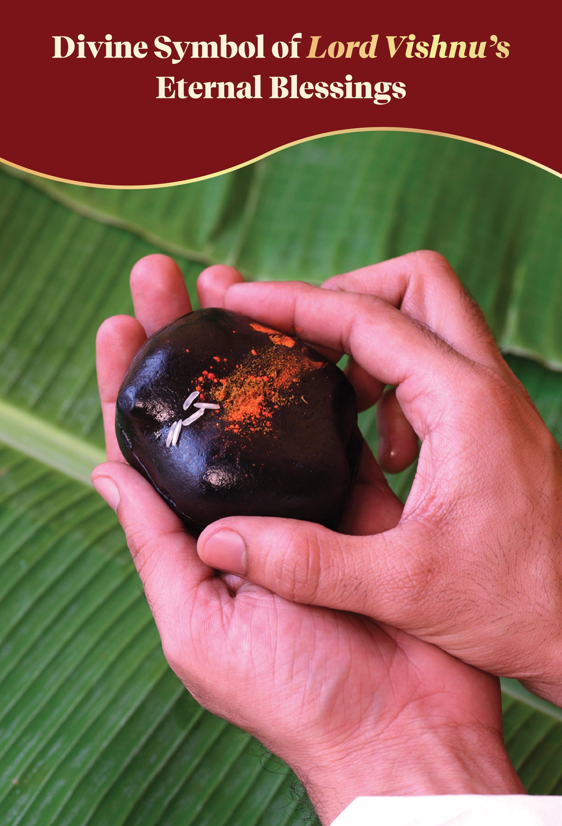 Sudarshan Shaligram by Pujashree | Sanatana Journey