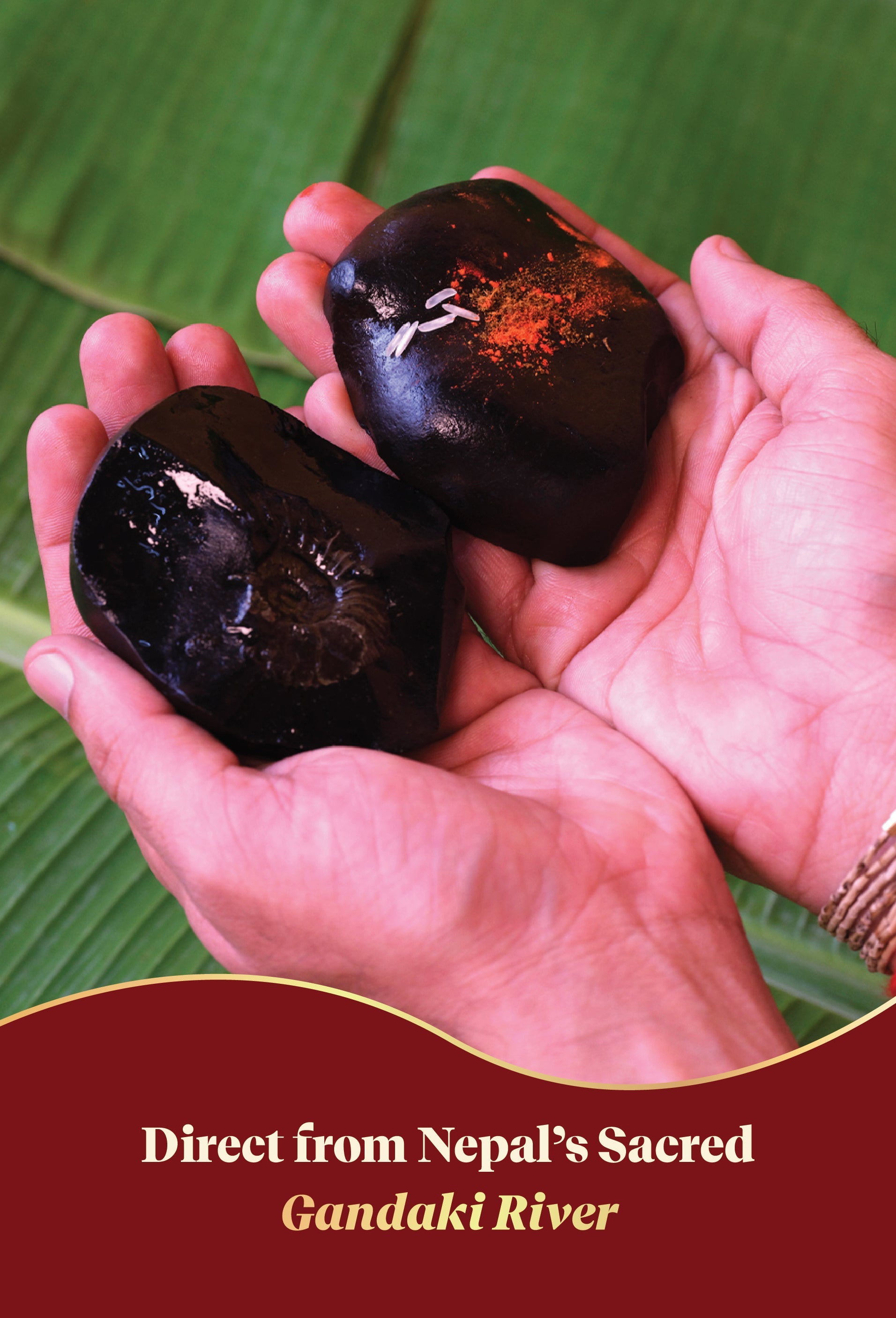 Sudarshan Shaligram by Pujashree | Sanatana Journey